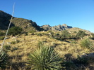 photo thumbnail #9