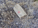 photo thumbnail #12