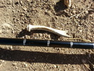 photo thumbnail #14