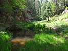 photo thumbnail #7