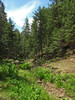 photo thumbnail #11