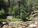 photo thumbnail #12