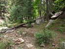 photo thumbnail #13