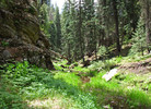 photo thumbnail #14