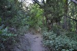 photo thumbnail #9