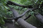 photo thumbnail #10