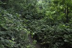photo thumbnail #11