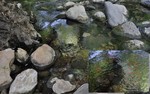 photo thumbnail #15