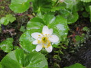 photo thumbnail #10