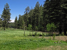 photo thumbnail #13