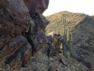 photo thumbnail #1