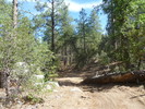photo thumbnail #7