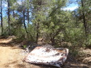 photo thumbnail #8