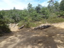 photo thumbnail #11