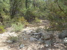 photo thumbnail #12