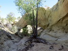 photo thumbnail #5
