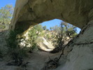photo thumbnail #6