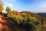 photo thumbnail #4
