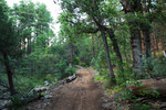 photo thumbnail #5