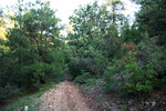 photo thumbnail #7