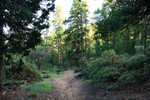 photo thumbnail #8