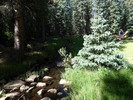 photo thumbnail #2