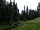 photo thumbnail #13