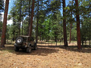 photo thumbnail #1
