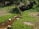 photo thumbnail #6