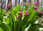 photo thumbnail #10