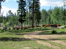 photo thumbnail #10