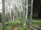 photo thumbnail #10