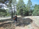 photo thumbnail #4