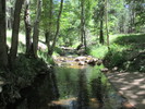 photo thumbnail #2