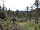 photo thumbnail #3