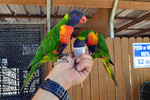 photo thumbnail #12