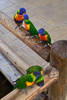 photo thumbnail #11