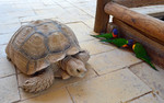 photo thumbnail #14