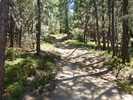 photo thumbnail #2