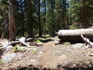 photo thumbnail #9