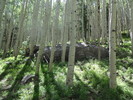 photo thumbnail #1