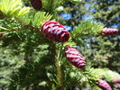 photo thumbnail #8
