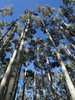 photo thumbnail #13