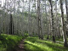 photo thumbnail #14