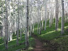 photo thumbnail #15