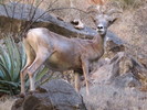 photo thumbnail #6