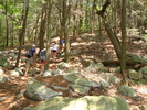 photo thumbnail #3