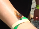 photo thumbnail #5