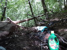 photo thumbnail #10