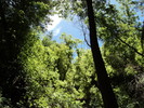 photo thumbnail #11